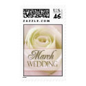Wedding rose for March bride postage