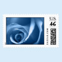 Wedding Rose In Blue Postage Stamp by TDSwhite Wedding Rose In Blue Postage Stamp