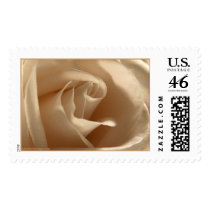Wedding Rose In Cream Postage Stamp