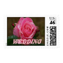 Wedding Rose Postage Stamp