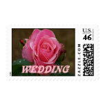 Wedding Rose Postage Stamp
