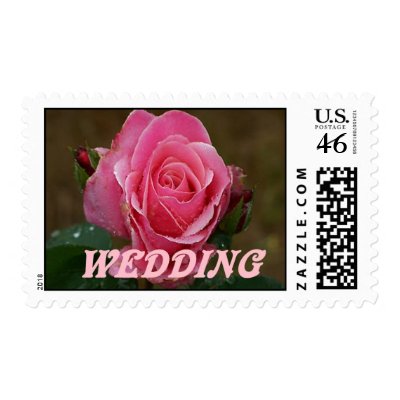 Wedding Rose Postage Stamp by JoniceC