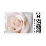Wedding Rose Postage Stamps