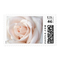 Wedding Rose Postage Stamps