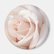 Wedding Rose Refrigerator Magnets