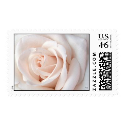 Wedding Rose, S Cyr Stamp