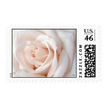 Wedding Rose, S Cyr Stamp