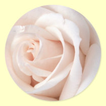 Wedding Rose stickers
