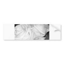 Wedding Roses bumper stickers