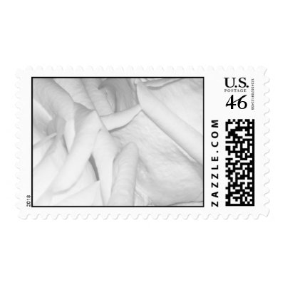 Wedding Roses Postage Stamps