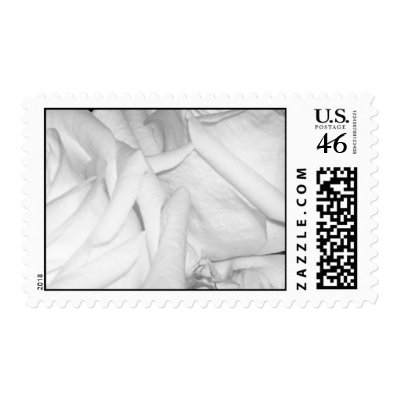 Wedding Roses Postage Stamp