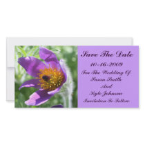Wedding Save The Date Pasque Flower Card photo cards