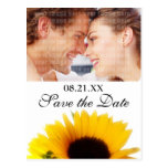 Wedding Save the Date Postcard