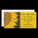 Wedding Save The Date Sunflower Flower Card photo cards