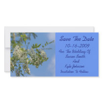 Wedding Save The Date White Locust Flower Card photo cards by SmilinEyesTreasures Wedding Save The Date White Locust Flower Card photo cards