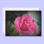 Wedding Shower invitations invitations