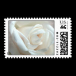 Wedding Stamp stamps