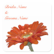 Wedding Stickers - Orange Daisy Gerbra Flower