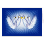 swan, bird, gorgeous, love, romance, wedding,