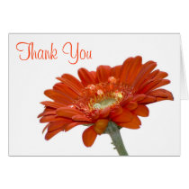 Wedding Thank You Card - Orange Daisy Gerbera