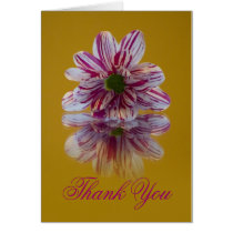 Wedding Thank You Card Striped Daisy Gerbera pink
