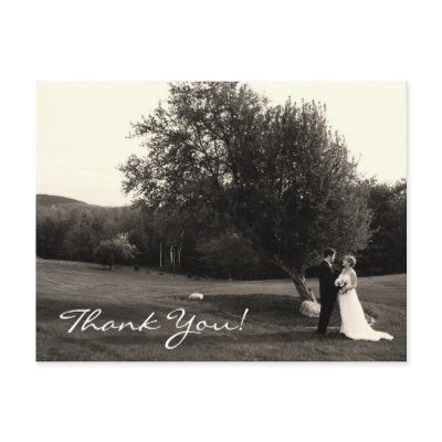 Wedding Thank you postcards