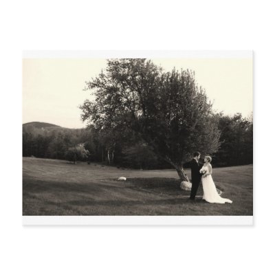 Wedding Thank you postcards