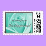 Wedding: Tiffany Blue & Chocolate postage