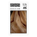 Wedding Train Postage Stamp