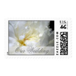 Wedding White Flower Postage Stamp stamp