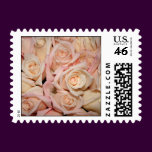Wedding White Pink Rose