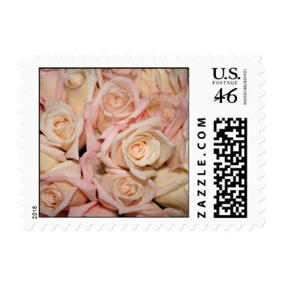 Wedding White Pink Rose Postage Stamps by dirushad