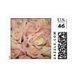 Wedding White Pink Rose