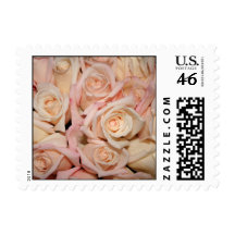 Wedding White Pink Rose Postage Stamps