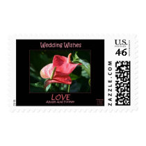 Wedding Wishes postage by ShelvaPhotography Wedding Wishes postage