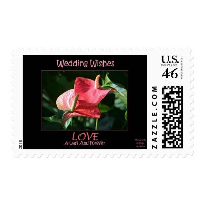Wedding Wishes on Wedding Wishes Stamp With  Love   Always And Forever   At The Bottom