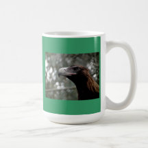 Wedge Tail Eagle Portrait Mugs