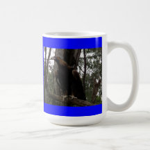 Wedge Tailed Eagle Coffee Mug