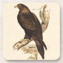 Wedge-tailed Eagle ftom Australia. Huge Bird. Drink Coaster