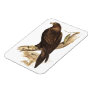Wedge-tailed Eagle ftom Australia. Huge Bird. Vinyl Magnet