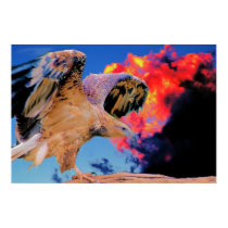 Wedge Taled Eagle in Bush Fire posters by Practicaps Wedge Taled Eagle in Bush Fire posters