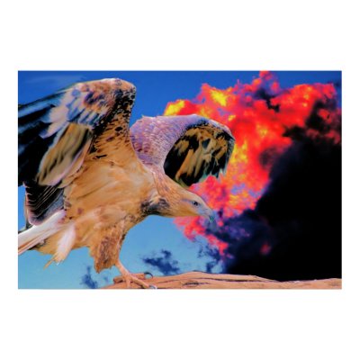 Wedge Taled Eagle in Bush Fire Print by Practicaps