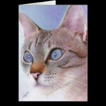Wedgewood Blue cards