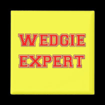 Wedgie Expert magnets
