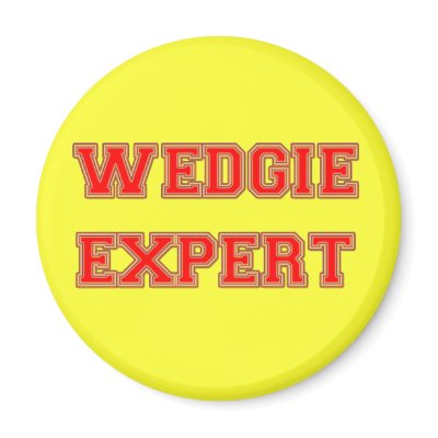 Wedgie Expert Fridge Magnet by Say_What