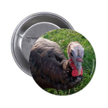 Wedrose Acres button 1