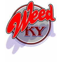 Weed KY swoop shirt by Duncan_Reed Weed KY swoop shirt