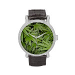 Weed Watch Weed Watch