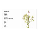 Weeds , a scan of Florida wildflowers Business Card Template