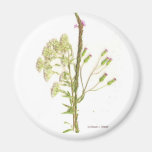 Weeds , a scan of Florida wildflowers Fridge Magnets